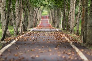 Read more about the article Our Dreams Give Our Direction in Life