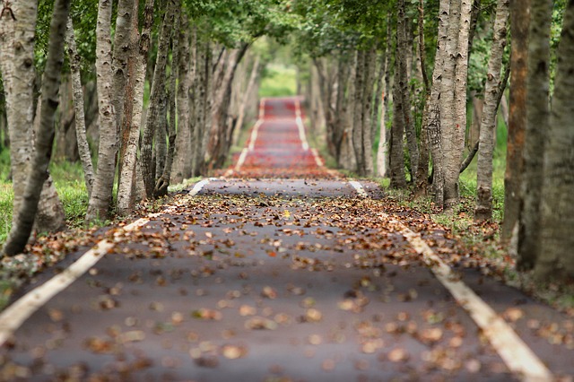 You are currently viewing Our Dreams Give Our Direction in Life