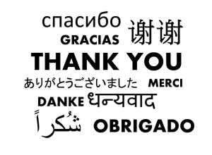 Read more about the article Gratitude Is the Energy of Action