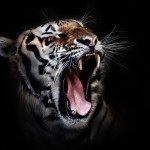 Choose habits that boost up your motivation