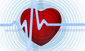 Read more about the article The Heart Needs Healing Too