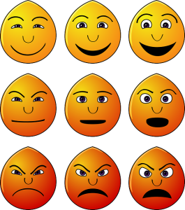 Read more about the article Understand your Emotions and Use Them for your Advantage