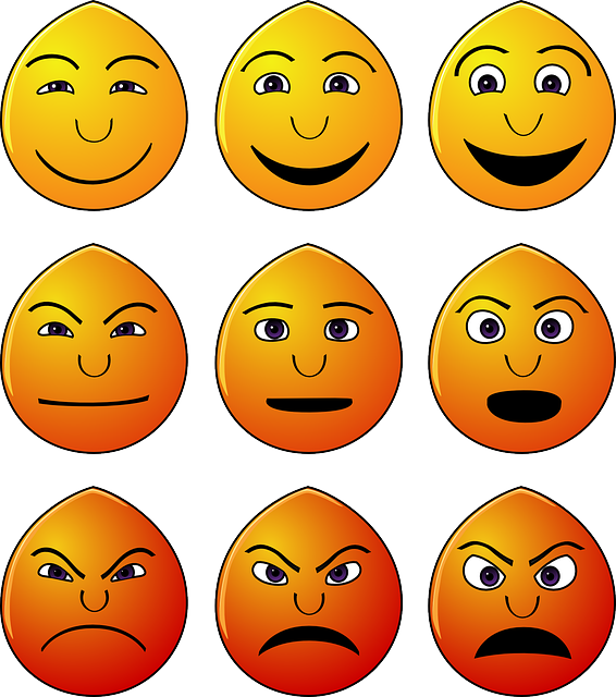 You are currently viewing Understand your Emotions and Use Them for your Advantage
