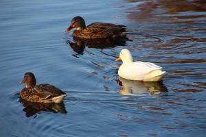 Read more about the article Getting Away from Toxic People Does Wonders for your Life